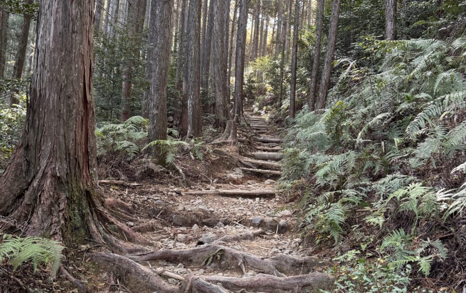 kumano kodo palverännutee