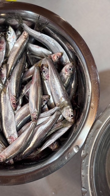 Fish products on the Old Hapsal Hotel breakfast table