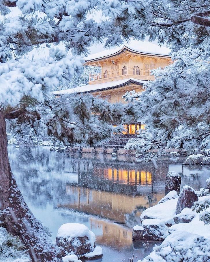 Japan winter