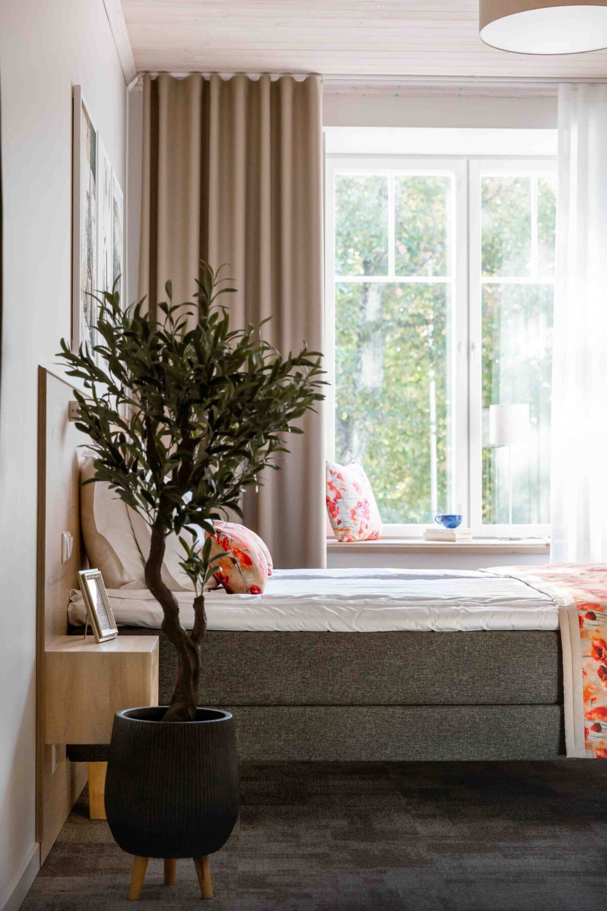 OHH tuba Itaalia majutus Haapsalus voodi, oliivipuu